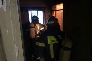 cfd45e58 0129 40b8 a67e fd687832fbdb