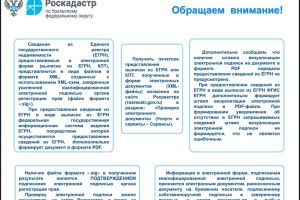 Сведения ЕГРН в электронном виде