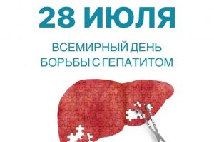 28 2