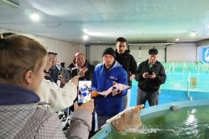 Подробнее...